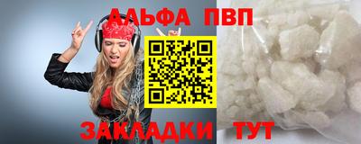 кокс Кингисепп