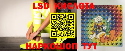 кокс Кингисепп