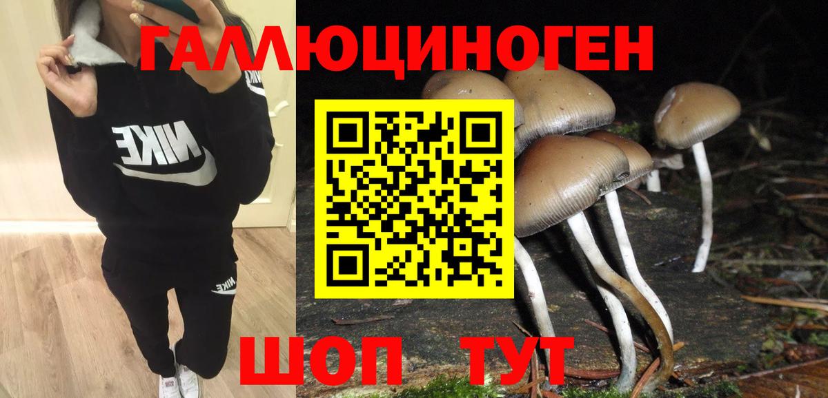 Псилоцибиновые грибы GOLDEN TEACHER  Вход с VPN  Кудымкар  Псилоцибиновые грибы MAGIC MUSHROOMS 