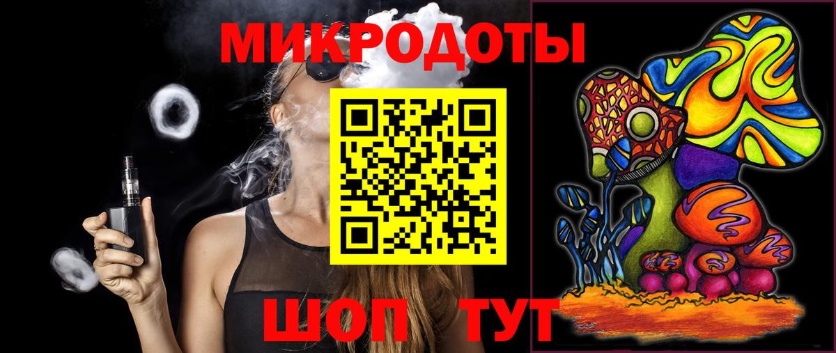 Псилоцибиновые грибы Psilocybe Кудымкар
